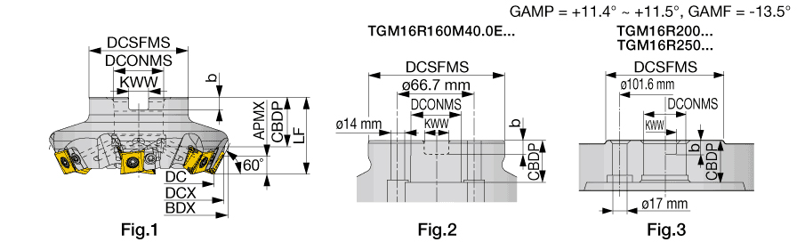 TGM16R100M31.7-06SA